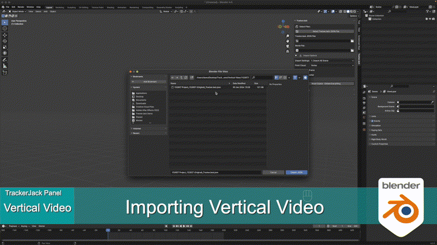 Vertical Video Button